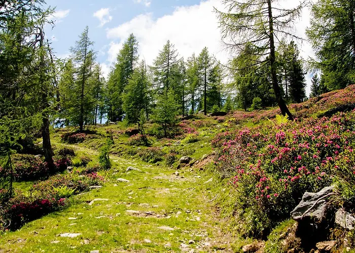 Das Landhaus Pragant * Bad Kleinkirchheim